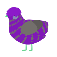 A violet and grey chicken with a bar pattern