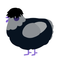 A cream and grey chicken with a head pattern