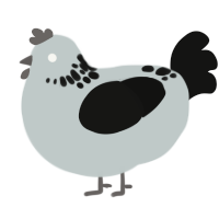 A silver and black chicken with a neck-speckle pattern
