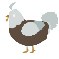 A bark and silver chicken with a head pattern