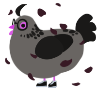 Photograph, a grey and sable chicken with a neck-speckle pattern