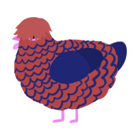 A red and navy chicken with a lace pattern