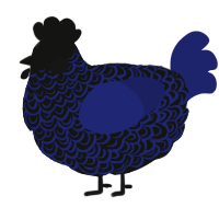 A black and navy chicken with a double-lace pattern