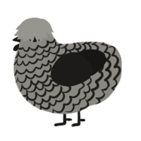 A ash and sable chicken with a lace pattern
