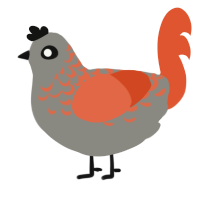 Viz, a ash and vermilion chicken with a half-lace pattern