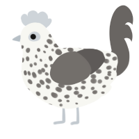 A white and grey chicken with a speckle pattern