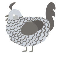 A mist and grey chicken with a lace pattern