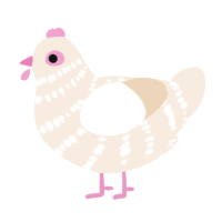 A cream chicken with a bar pattern