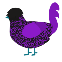 A sable and violet chicken with a double-lace pattern
