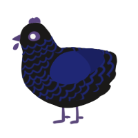 A sable and navy chicken with a lace pattern