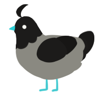 Karen, a ash and sable chicken with a head pattern