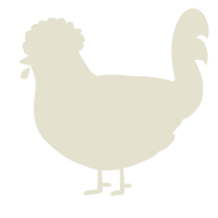 From Can to Cant, a white chicken with a neck-speckle pattern