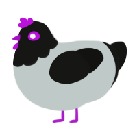 Metallica, a silver and black chicken with a head pattern