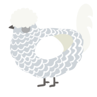 A mist and white chicken with a lace pattern