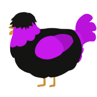 A black and amethyst chicken with a head pattern