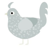 Ghoul, a silver chicken with a speckle pattern