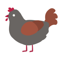 A grey and russet chicken
