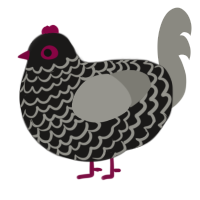A sable and ash chicken with a lace pattern