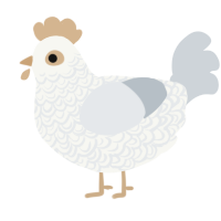 A white and mist chicken with a double-lace pattern
