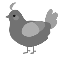 A fuchsia and orchid chicken