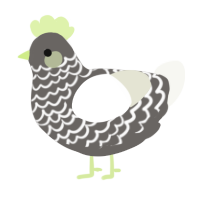 A grey and white chicken with a lace pattern