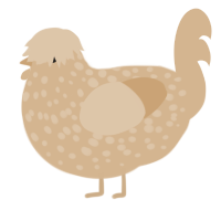 A beige chicken with a speckle pattern