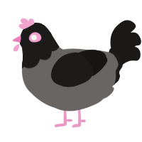 offer, a grey and sable chicken with a head pattern