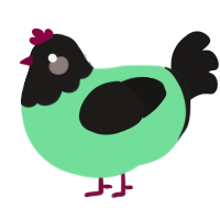 A spring and sable chicken with a head pattern