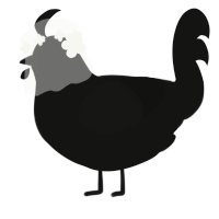 야래향, a black chicken