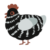 A black and silver chicken with a bar pattern