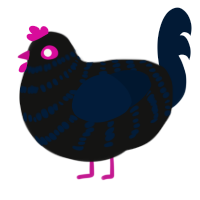 Grackle, a black and tumblr chicken with a bar pattern
