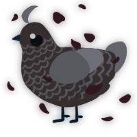 A silver and ash chicken with a lace pattern