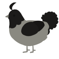 A ash and sable chicken with a head pattern
