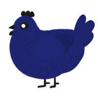 Lapis, a navy chicken with a lace pattern
