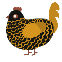 Barry, a black and ochre chicken with a lace pattern