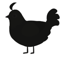 A black chicken with a head pattern