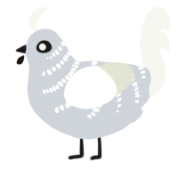 A mist and white chicken with a half-bar pattern