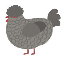 A ash and grey chicken with a lace pattern