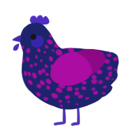 A navy and plum chicken with a speckle pattern