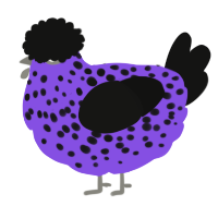 A blurple and black chicken with a speckle pattern