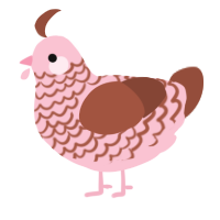A rose and russet chicken with a lace pattern
