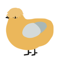Eggyolk, a honey and silver chicken