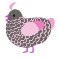 Pixie, a grey and pink chicken with a lace pattern