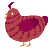 hot cinnamon, a red and maroon chicken with a bar pattern
