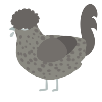 A ash and grey chicken with a speckle pattern