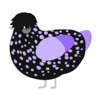 A black and lilac chicken with a speckle pattern