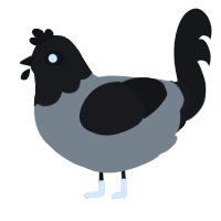 marsupial, a ash and sable chicken with a head pattern