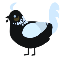 Comet, a black and white chicken with a neck-speckle pattern