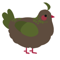 A bark and olive chicken with a neck-speckle pattern