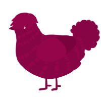 A maroon chicken with a bar pattern